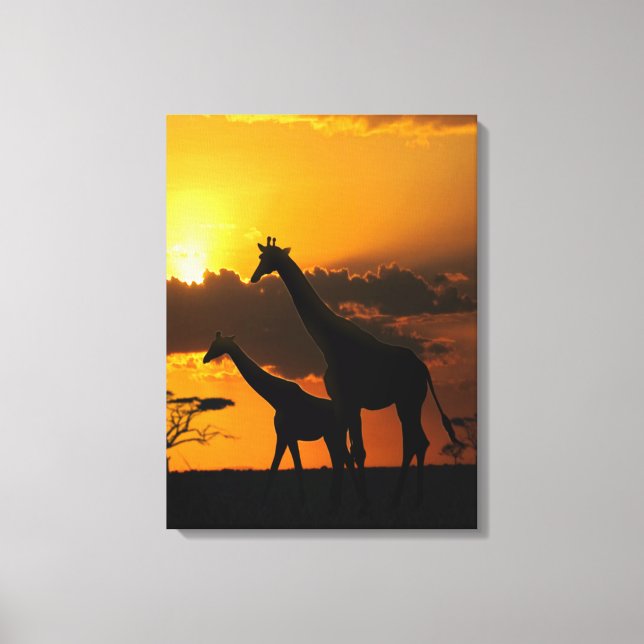 Giraffe Family 2 Canvastryck (Framsida)
