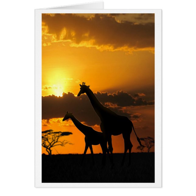 Giraffe Family 2 Hälsningskort (Framsidan)