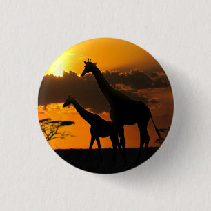 Giraffe Family 2 Knapp
