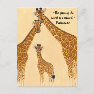 Giraffe Family - Fruit of Womb Vykort