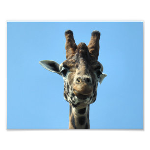 GIRAFFE FOTOTRYCK