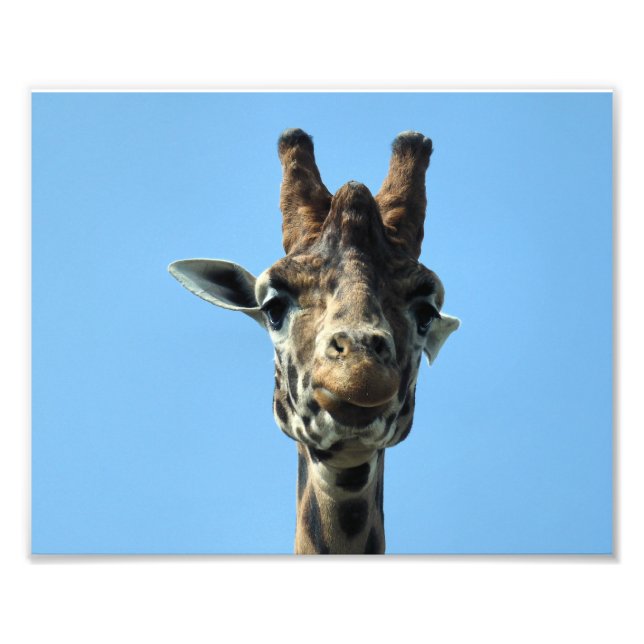 GIRAFFE FOTOTRYCK (Framsidan)