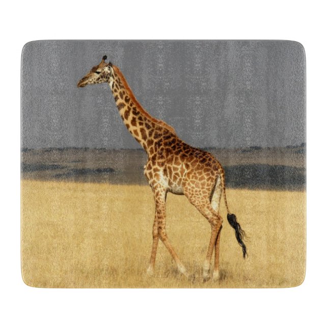 Giraffe fullt body Afrika African Animals (Framsidan)