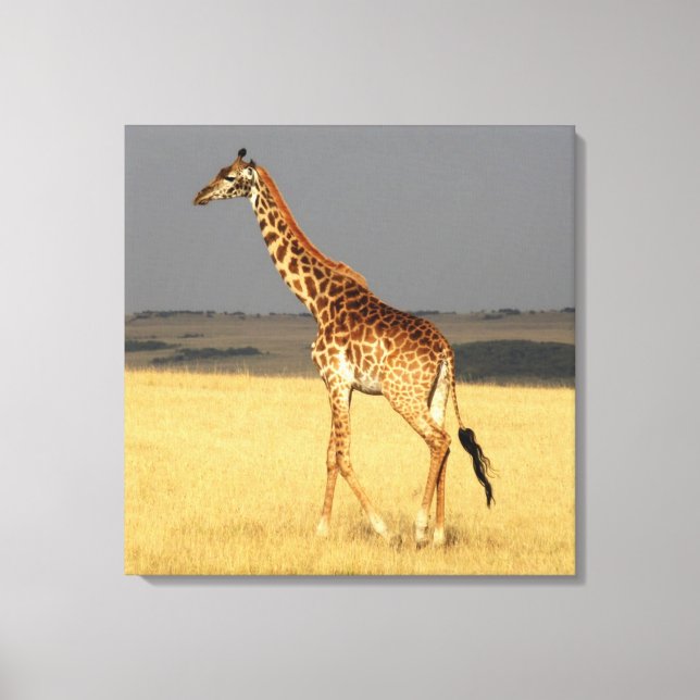 Giraffe fullt body Afrika African Animals Canvastryck (Framsida)