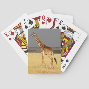 Giraffe fullt body Afrika African Animals Casinokort