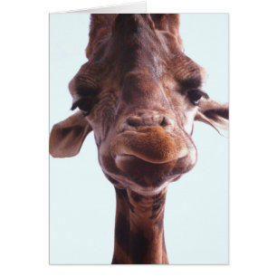 Giraffe Funny Ansikte Hälsningskort