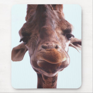 Giraffe Funny Ansikte Musmatta