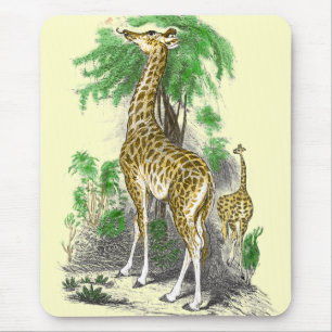 Giraffe Gifts Musmatta