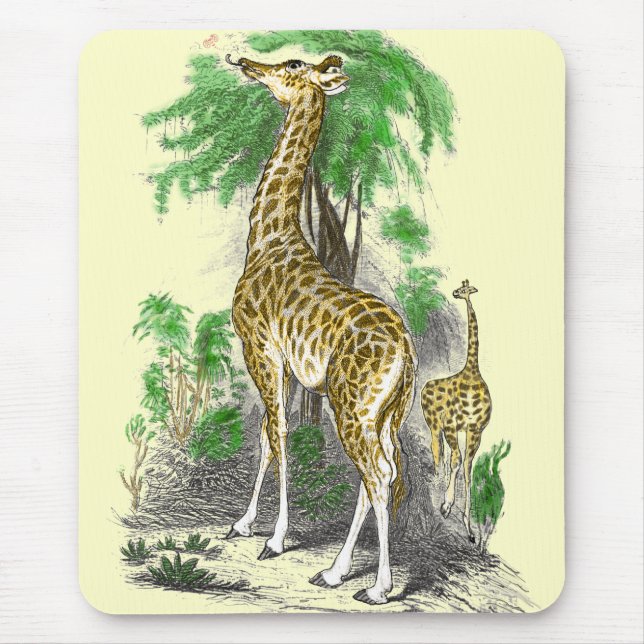Giraffe Gifts Musmatta (Framsidan)