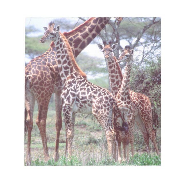 Giraffe Group eller Herd w/ Young, Giraffa Anteckningsblock (Framsida)