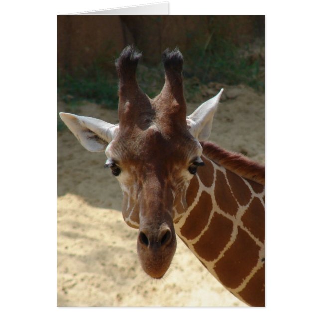 Giraffe Hälsningskort (Framsidan)