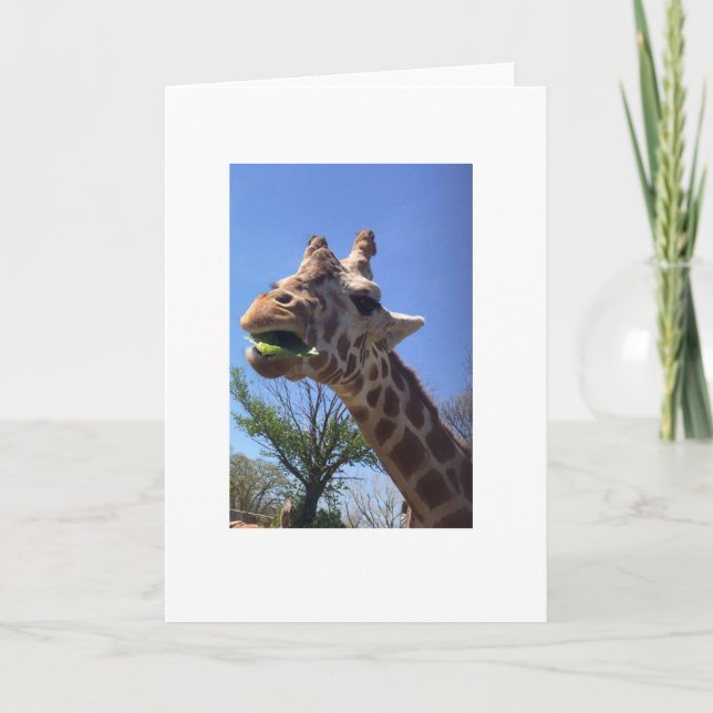 Giraffe-hälsningskort Kort (Framsida)