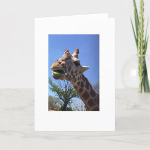 Giraffe-hälsningskort Kort