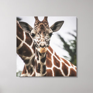 Giraffe head Giraffe päls print African Animal Canvastryck