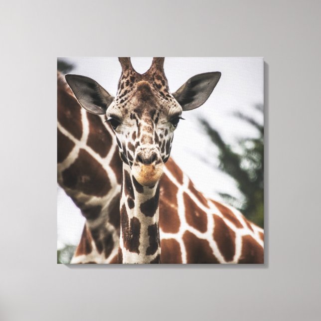 Giraffe head Giraffe päls print African Animal Canvastryck (Framsida)