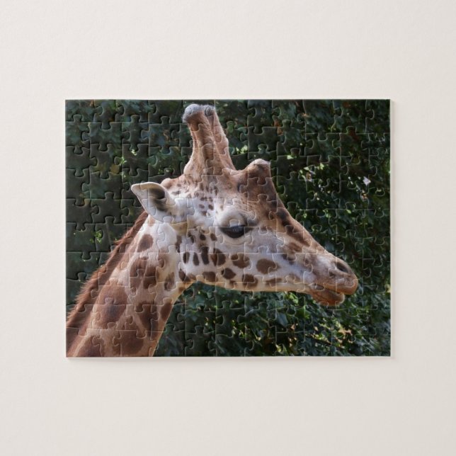 Giraffe Head Jigszle Puzzle Pussel (Horisontell)
