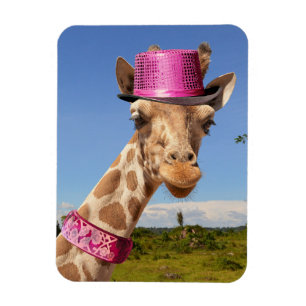 Giraffe i en glatt rosa magnet