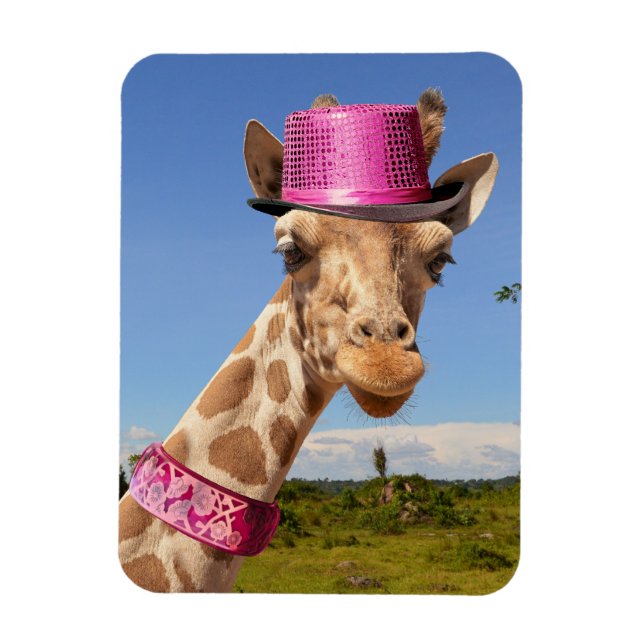 Giraffe i en glatt rosa magnet (Vertikal)