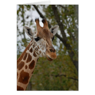 Giraffe i naturliga livsmiljöer hälsningskort