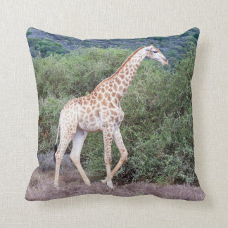Giraffe i Vilden Kudde