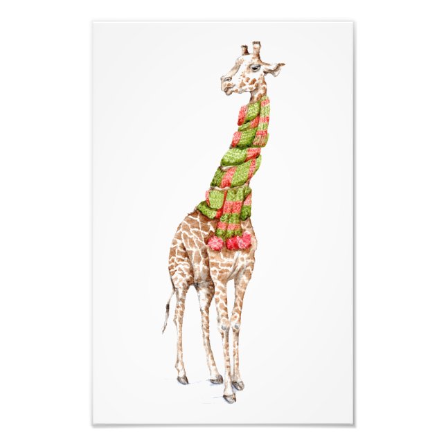 Giraffe in a Scarf Fototryck (Framsidan)