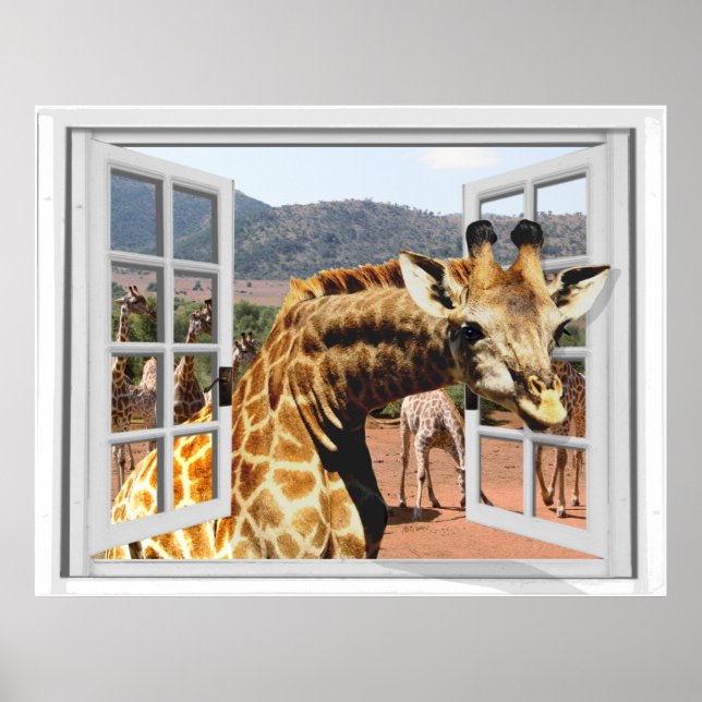 Giraffe in Fake Window View Trompe l'oeil Effect Poster (Framsidan)