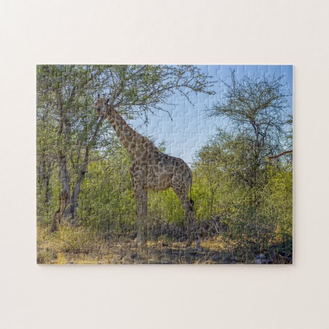 Giraffe in Natural Habitat, Afrika Pussel (Horisontell)