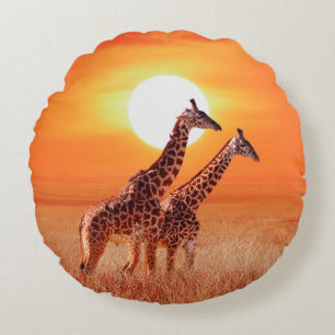 Giraffe in the African savanna against the backdro Rund Kudde