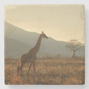 Giraffe in the Savannah Stenunderlägg