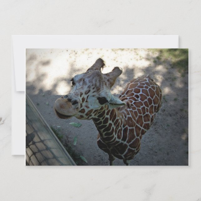 Giraffe Inbjudningar (Framsida)