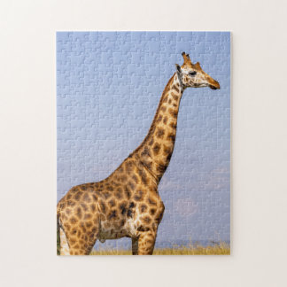 giraffe jigszasmunstycke pussel