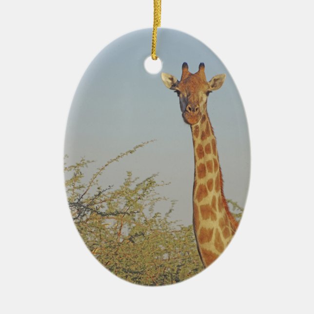 GIRAFFE JULGRANSPRYDNAD KERAMIK (Framsidan)