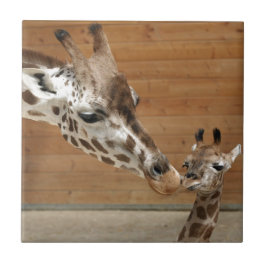 Giraffe Kakelplatta