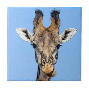 Giraffe Kakelplatta