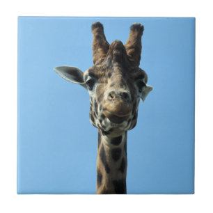 GIRAFFE KAKELPLATTA
