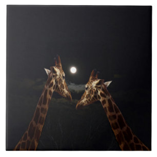 Giraffe Kärlek i månljuset, Kakelplatta