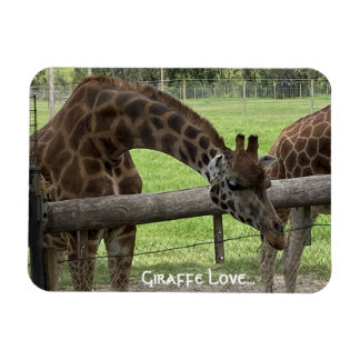 Giraffe Kärlek.. Magnet