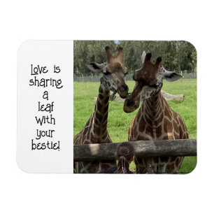 Giraffe Kärlek.. Magnet