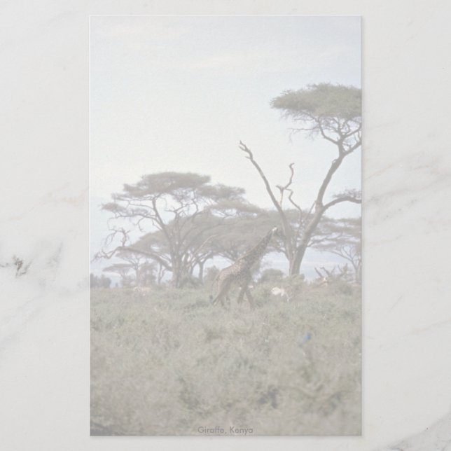 Giraffe, Kenya Brevpapper (Framsida)