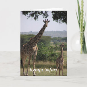 Giraffe, Kenya Safari Kort