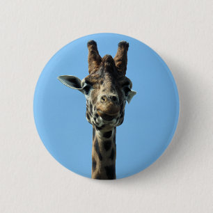 GIRAFFE KNAPP
