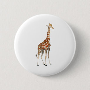 Giraffe Knapp
