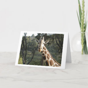 Giraffe Kort
