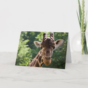 Giraffe ・ Kort för hälsning