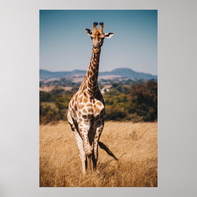 GIRAFFE KRUNDA AV BRÖSTGRAS POSTER (Framsidan)