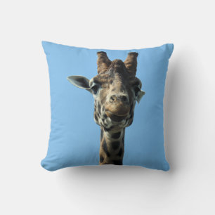 GIRAFFE KUDDE