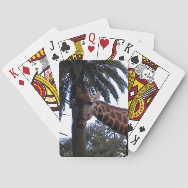 Giraffe Lookout Casinokort (Baksidan)