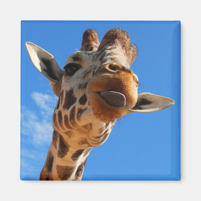 Giraffe Magnet (Framsidan)