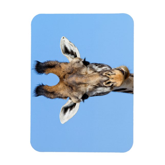 Giraffe Magnet (Vertikal)