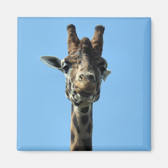 GIRAFFE MAGNET (Framsidan)